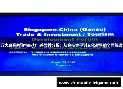 五大联赛的独特魅力与差异性分析：从竞技水平到文化背景的全面解读