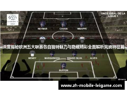 深度揭秘欧洲五大联赛各自独特魅力与隐藏精彩全面解析风貌特征篇