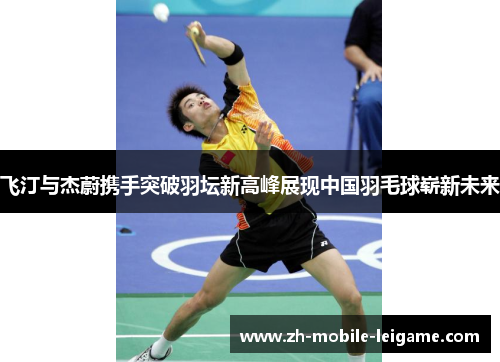 飞汀与杰蔚携手突破羽坛新高峰展现中国羽毛球崭新未来 飞汀与杰蔚携手突破羽坛新高峰展现中国羽毛球崭新未来